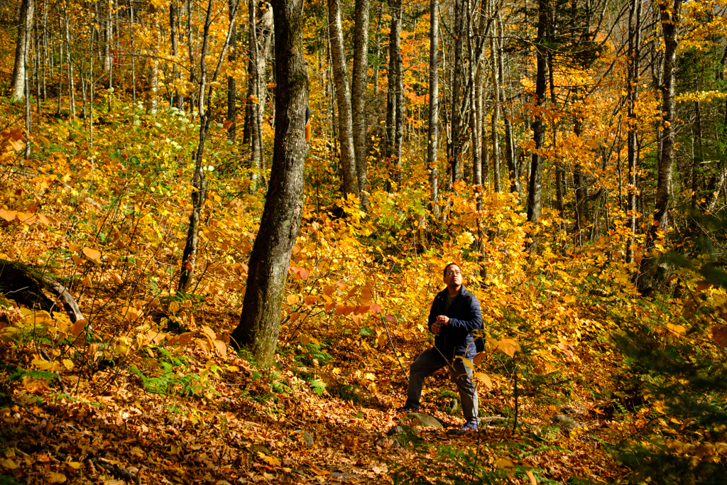Parc national de la Jacques-Cartier with fall leaves.